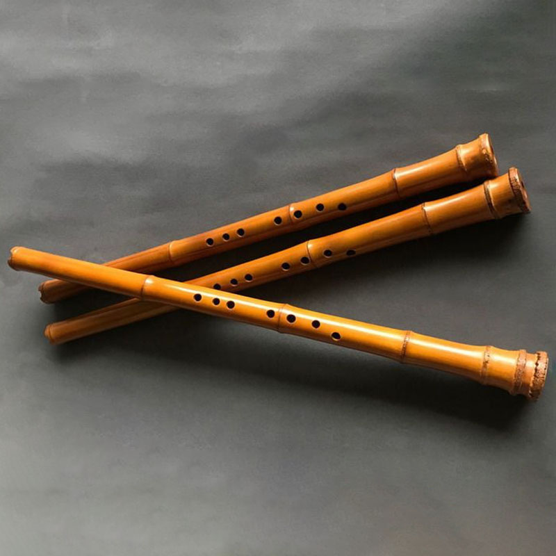 Musical Instrument I Play - 8 Delikli Bambu Xiao Performans Çin
