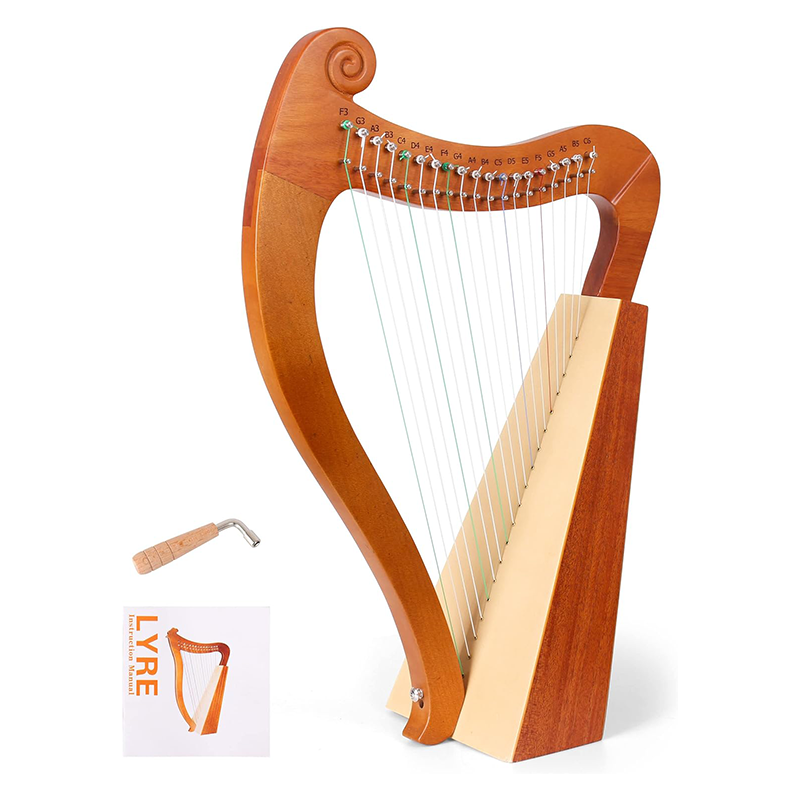 Musical Instrument Names - 15-19 Dize Mini Arp Lir Piyano