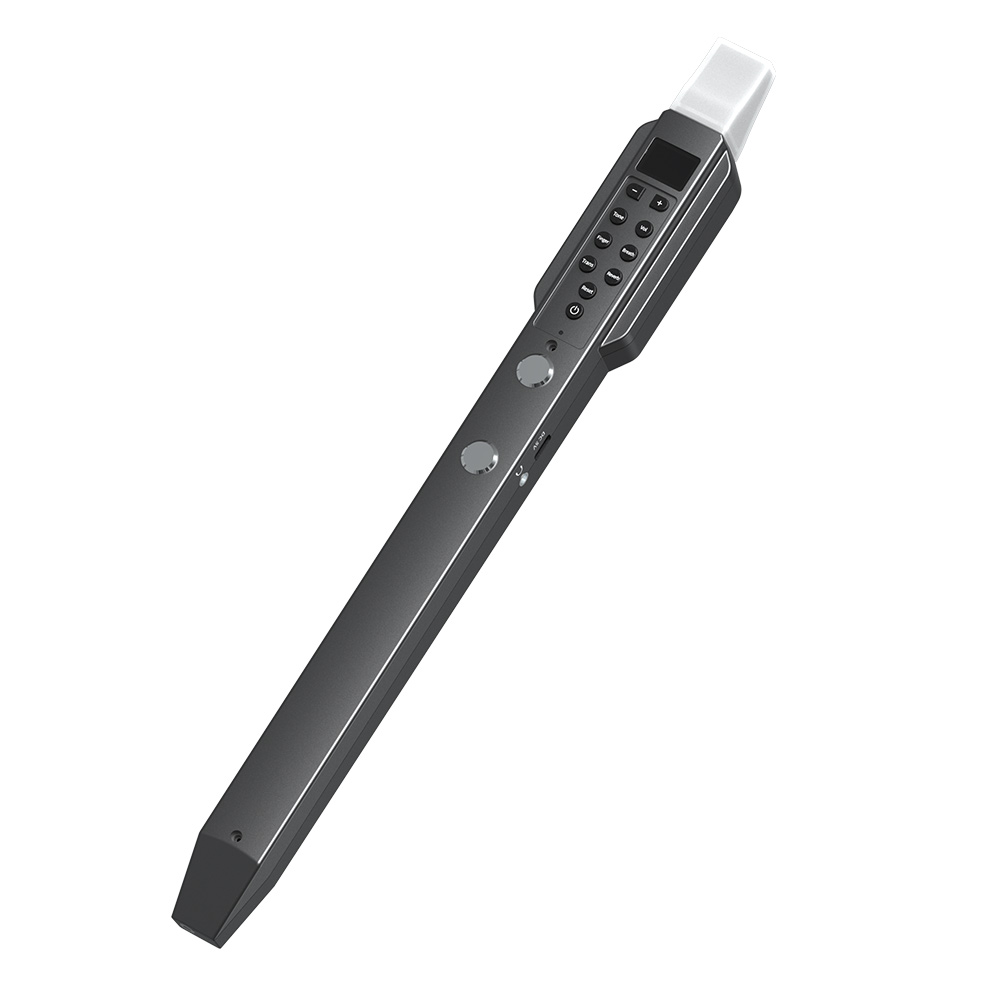 Musical Instrument A Recorder - Küçük Enine Flüt Elektronik Nefesli Tatlı