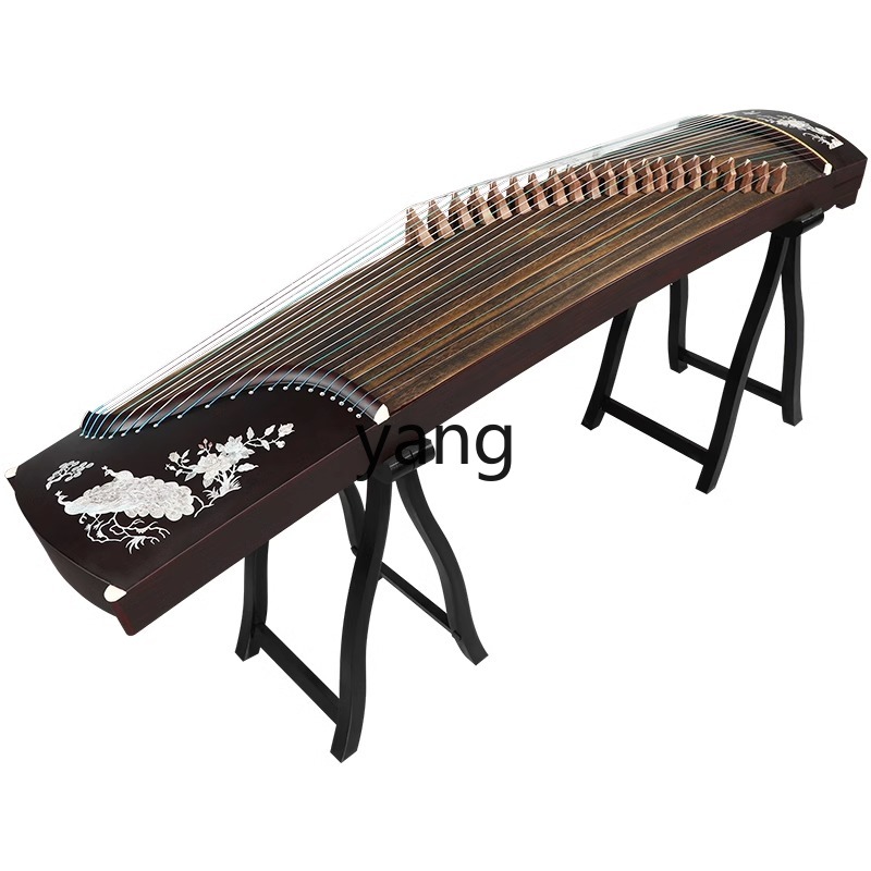 test giriş seviyesi 10 profesy - Musical Instrument Names incelemesi ve fiyatı