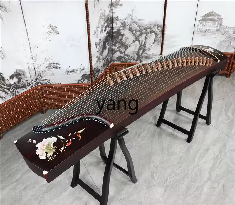 test giriş seviyesi 10 profesy - Musical Instrument Names incelemesi ve fiyatı