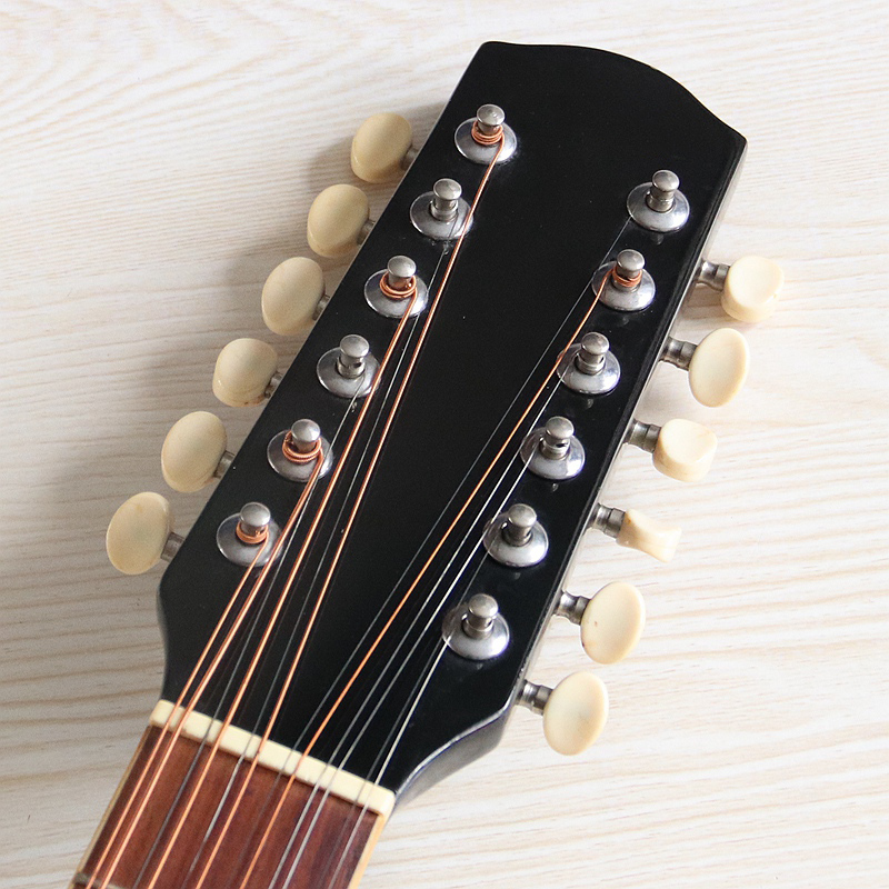 Stok 12 Telli Elektro Akustik  - Dobro Resonator Guitar incelemesi ve fiyatı