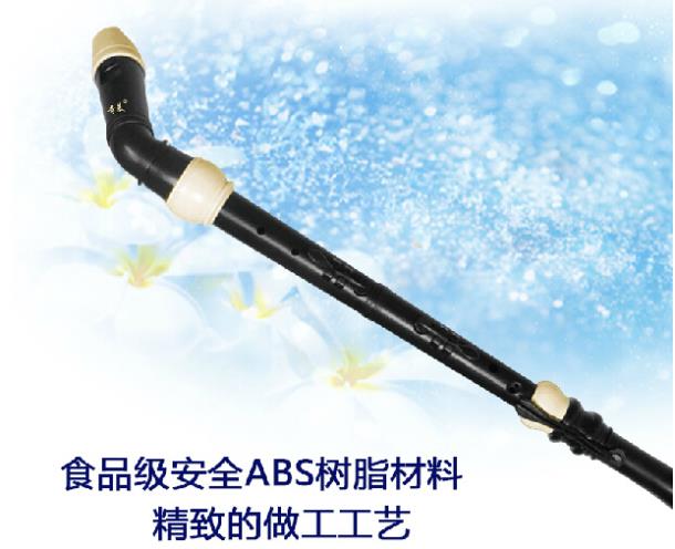 Profesyonel 8 Delik Barok Bas  - Musical Instrument A Recorder incelemesi ve fiyatı