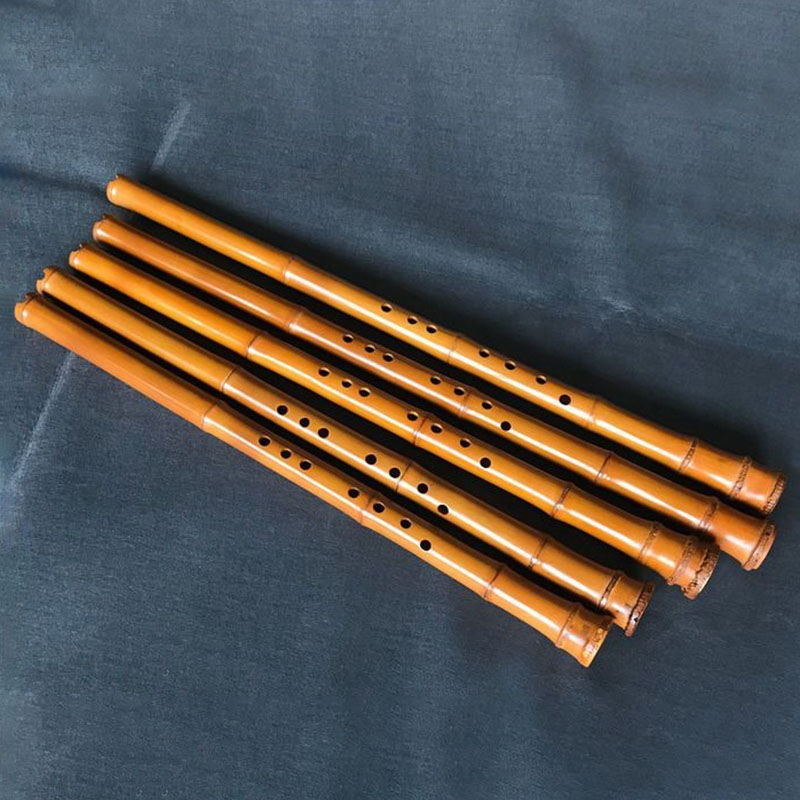 8 Delikli Bambu Xiao Performan - Musical Instrument I Play incelemesi ve fiyatı