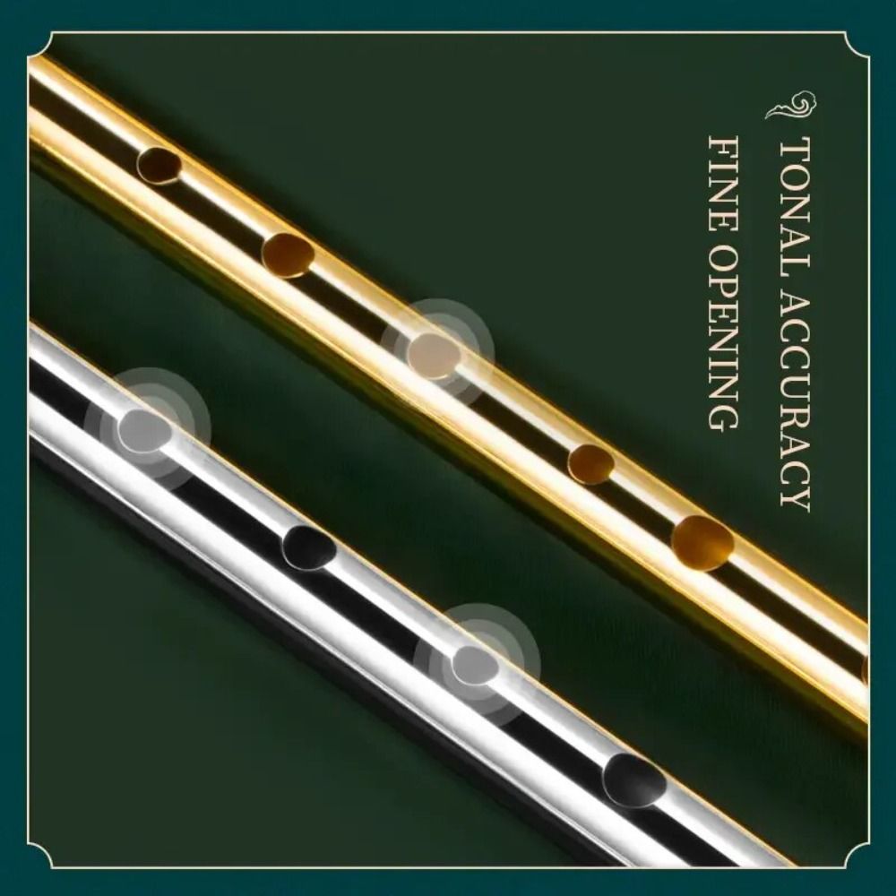 6 Delikli C/D Anahtarlı İrland - Tin Whistle Flute incelemesi ve fiyatı