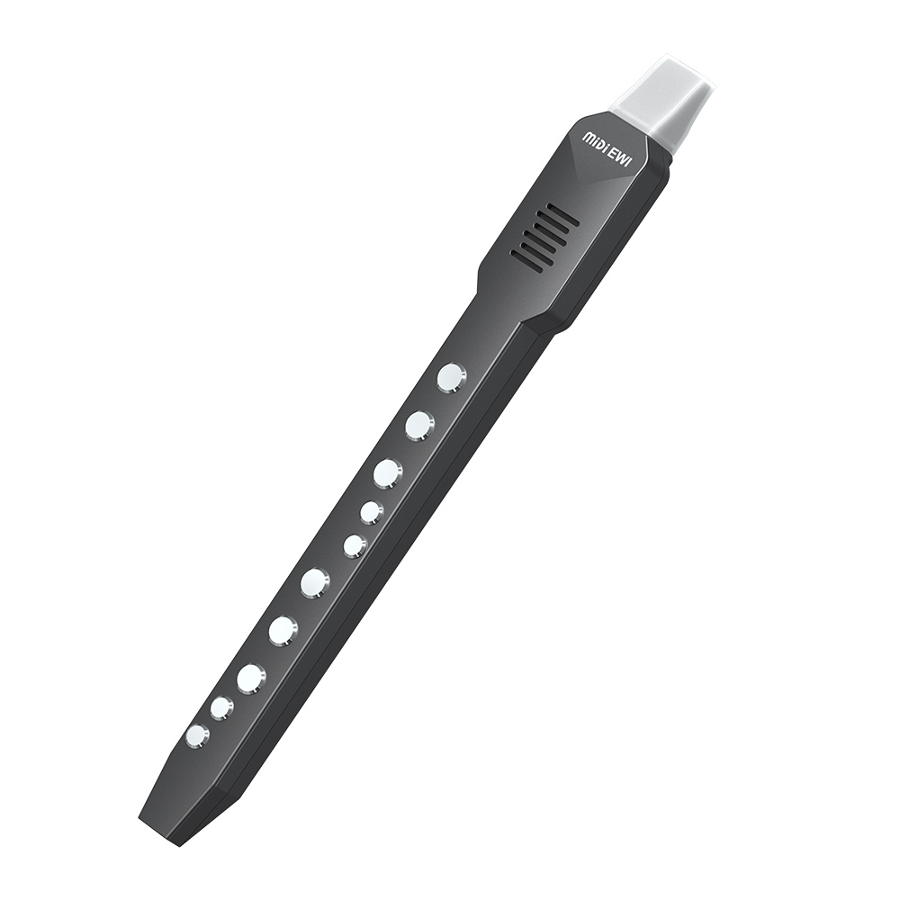 Küçük Enine Flüt Elektronik Ne - Musical Instrument A Recorder incelemesi ve fiyatı