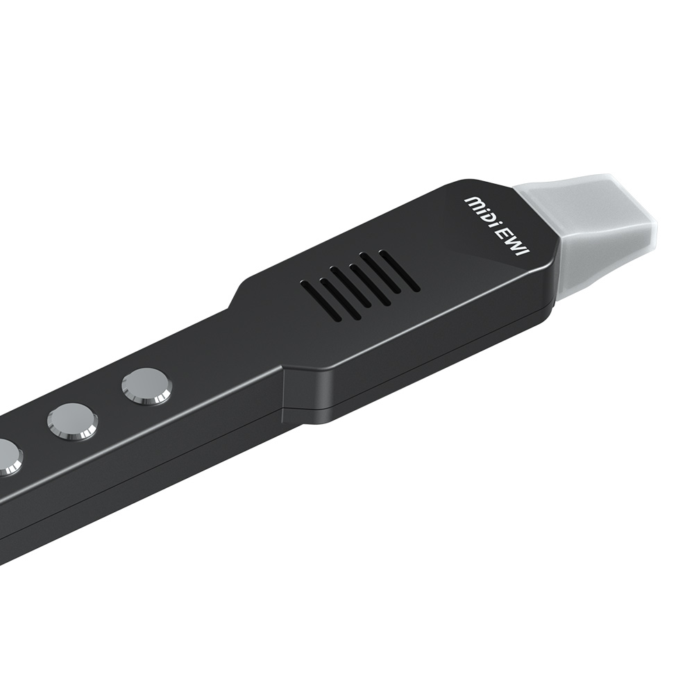 Küçük Enine Flüt Elektronik Ne - Musical Instrument A Recorder incelemesi ve fiyatı