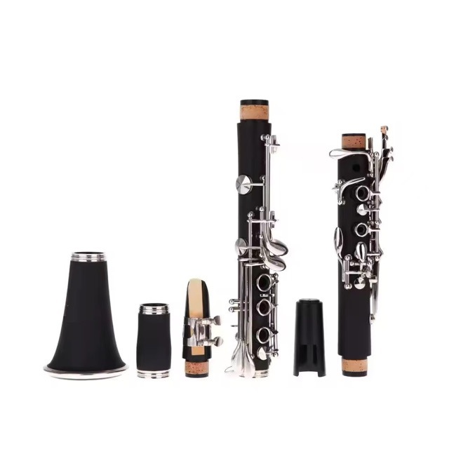Doğrudan üreticiden: Öğrencile - Musical Instrument Manufacturers incelemesi ve fiyatı