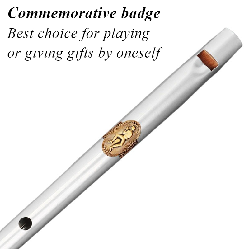 D/C Tuşlu Teneke Düdük Öğrenci - Tin Whistle Flute incelemesi ve fiyatı