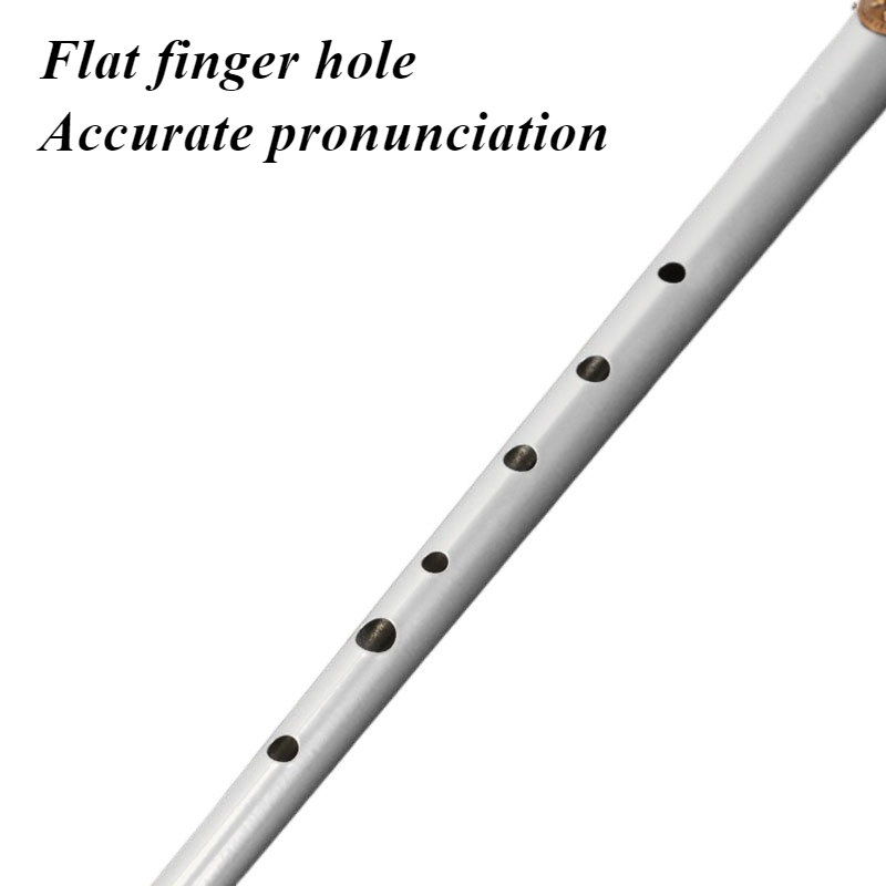 D/C Tuşlu Teneke Düdük Öğrenci - Tin Whistle Flute incelemesi ve fiyatı