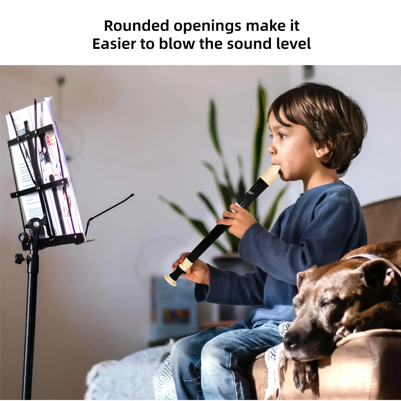 8 Delikli Kaydedici Barok Tarz - Musical Instrument A Recorder incelemesi ve fiyatı